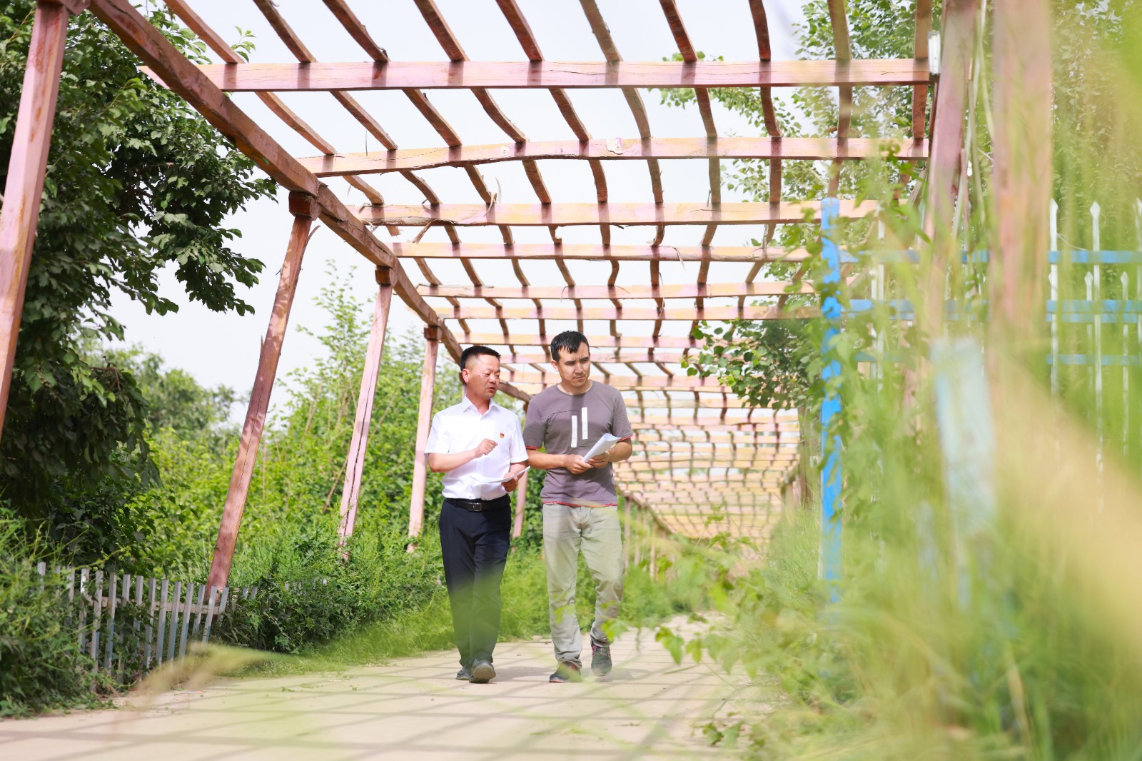 图为驻村队员向村民细致讲解耕地补贴惠农政策 张丽苹摄